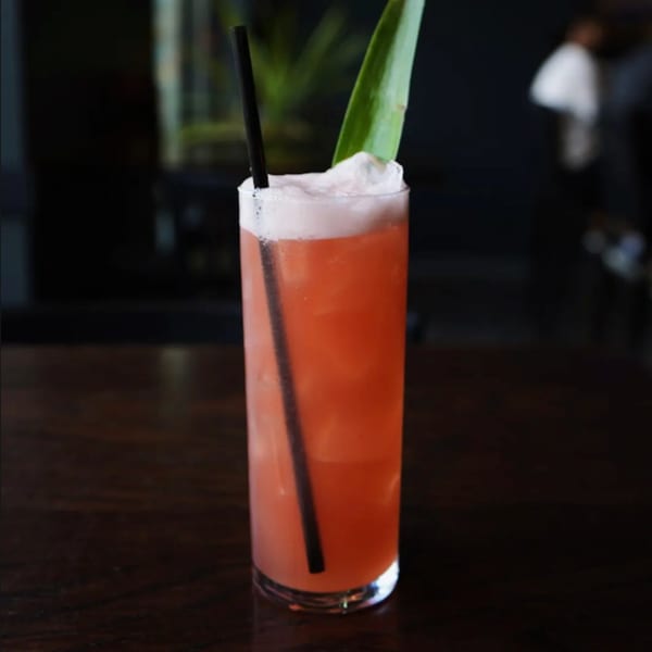 Tall glass of red cocktail with foam, a black straw, and a green leaf garnish.